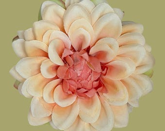 Peach/pale yellow and baby pink Dahlia (small)