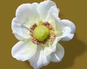 White Anemone ( small flower)