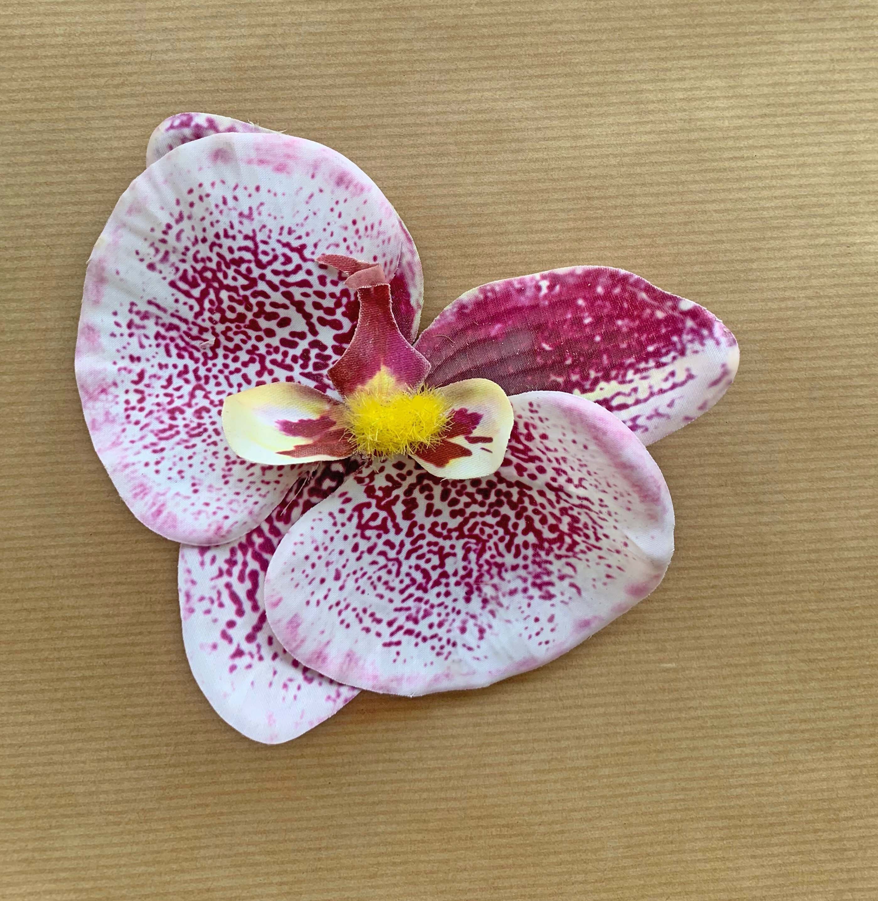 Orchid Hair Clip Large Single Phaleonpsis With Mimosa Detail Etsy UK