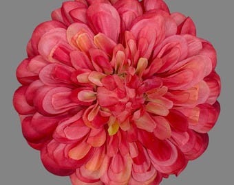 Coral /orange Dahlia, large