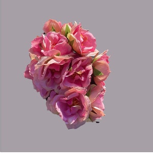 Bouquet de rose sauvage en soie rose (grand) pour les cheveux