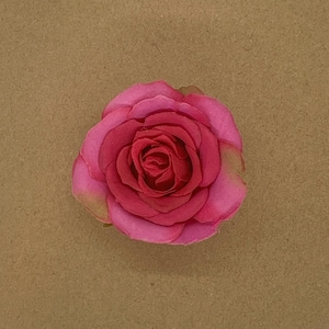 Soie rose, petite rose de jardin