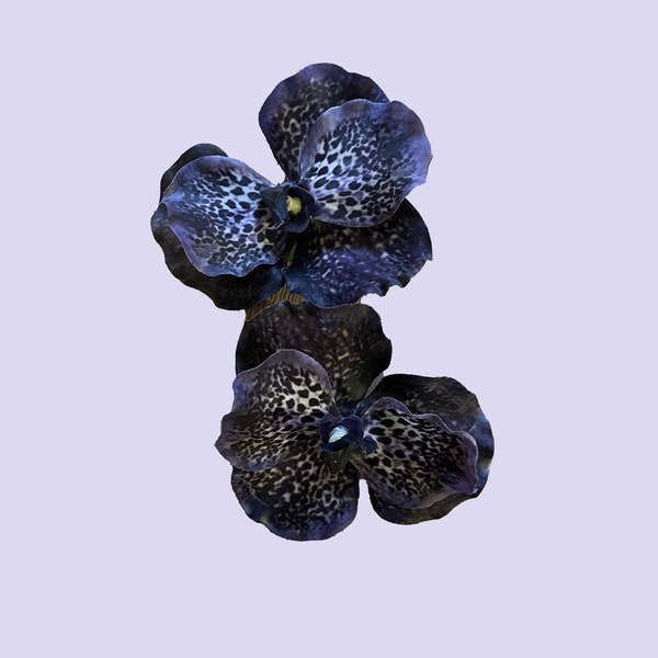 Black Orchid Hair Clip/Brooch