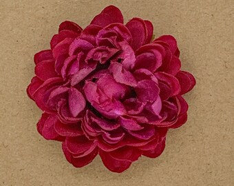 Small plum Dahlia