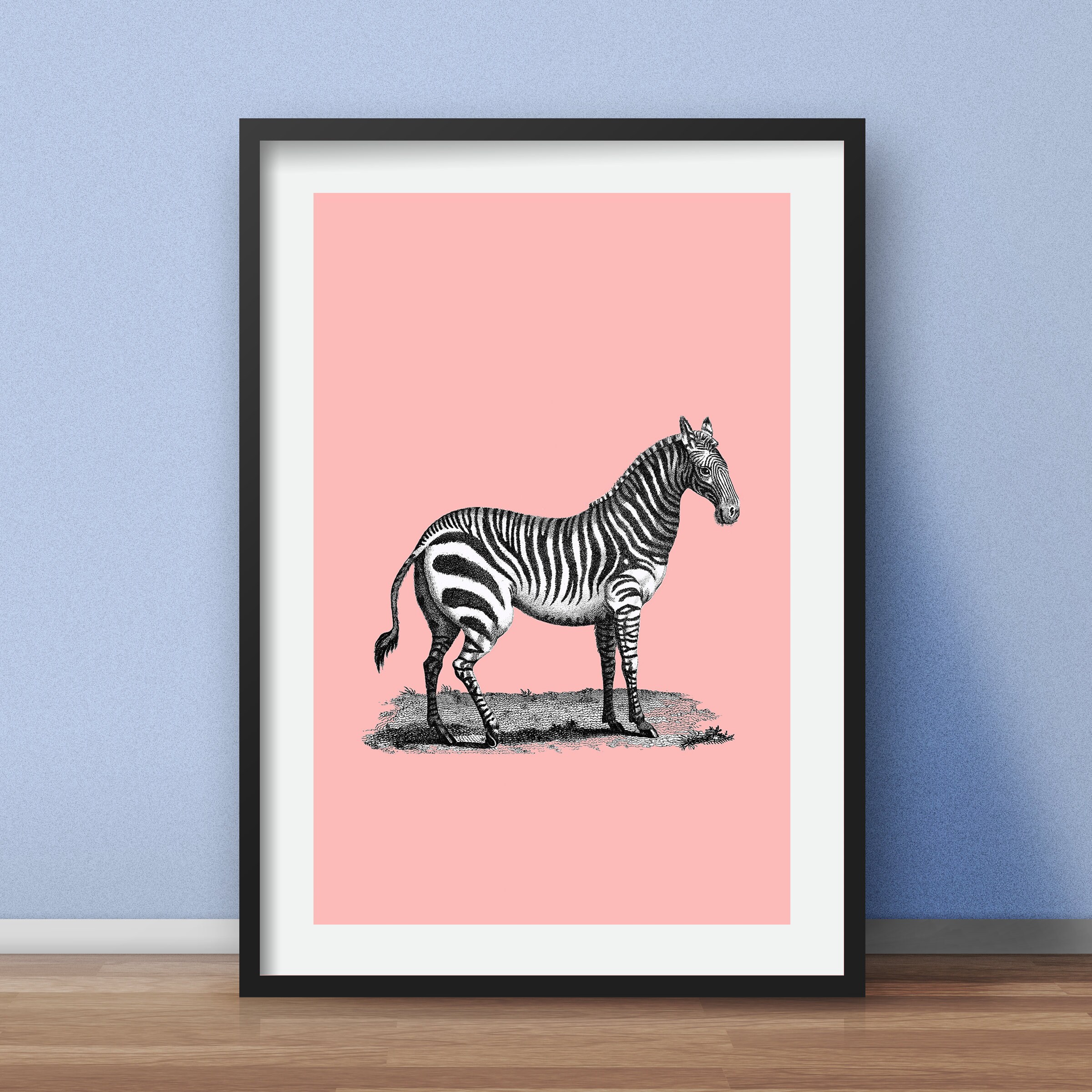 Zebra Art Print / Zebra Poster / Animal Wall Art / Vintage Etsy