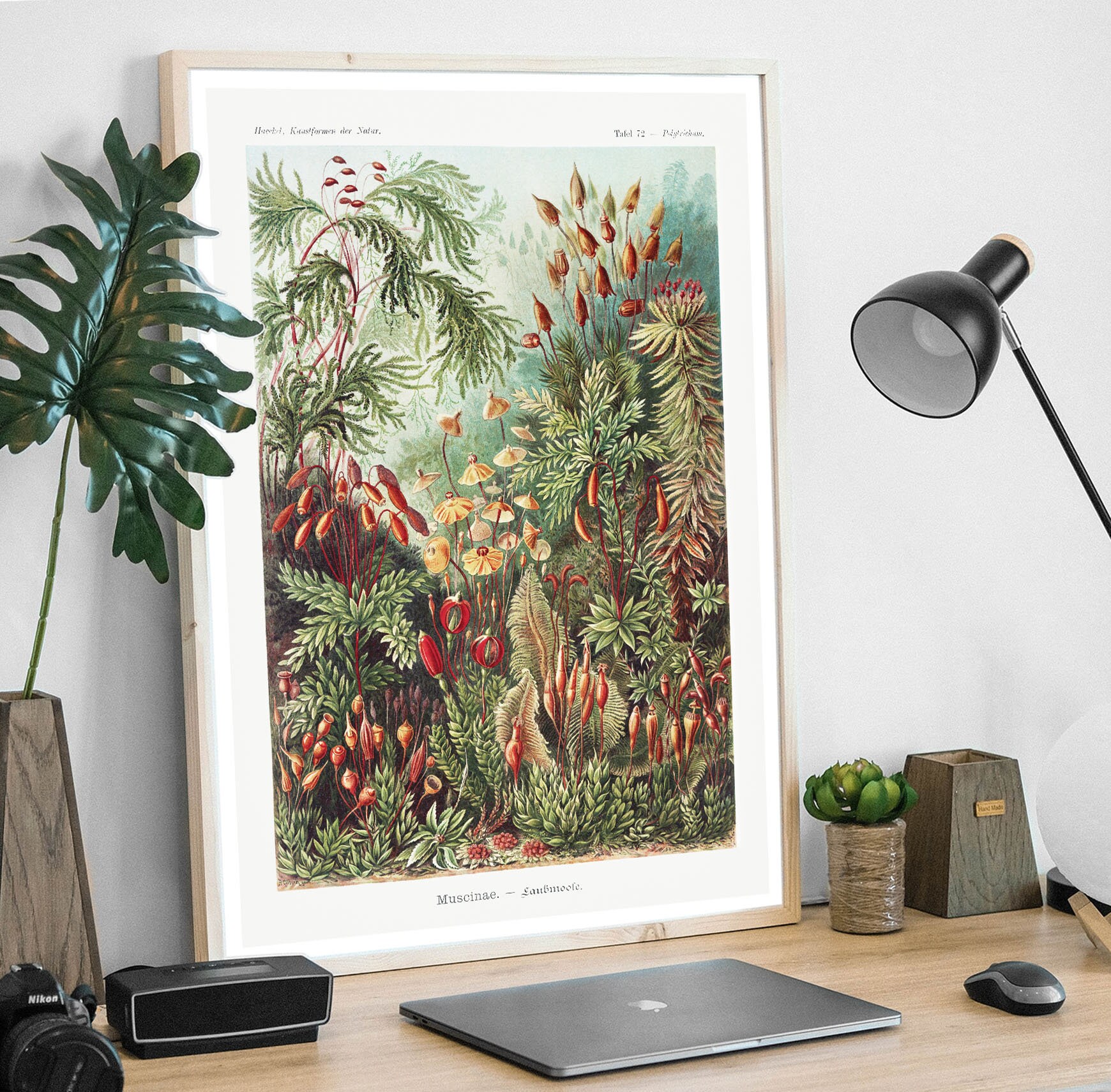 Botanical Print / Botanical Poster / Kitchen Art / Gardener Etsy