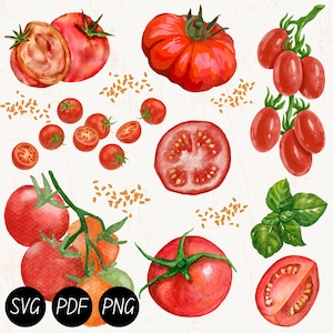 Tomato | Digital | SVG | PNG | PDF | Printable | Vegan | Garden Shirt | Summer Fruits | Gardening | Aesthetic Clothes