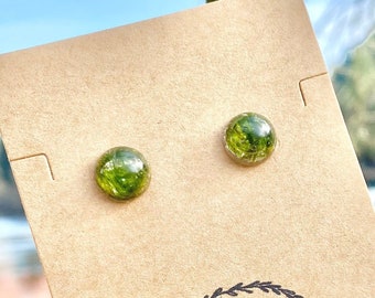 moss ball earrings, Oregon moss, terrarium, natural moss, green, Oregon nature, natural, resin jewelry, small stud earrings