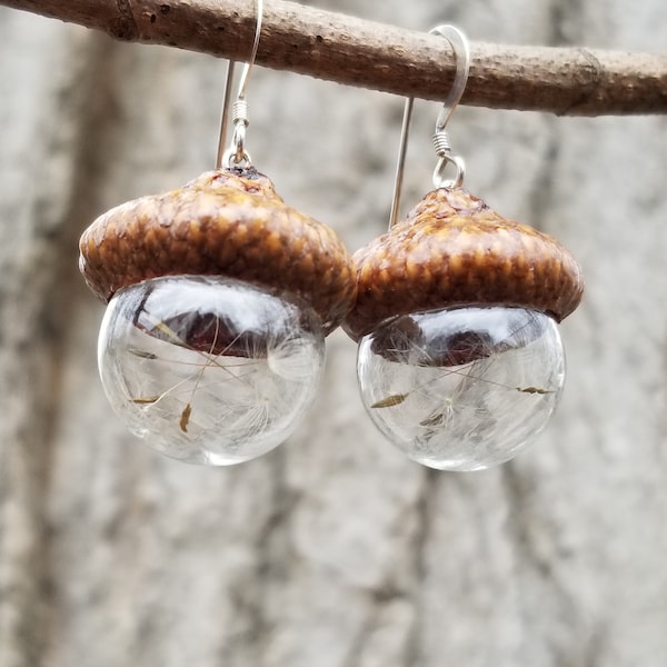 Dandelion seed acorn earrings, real acorn earrings, glass acorn jewelry, make a wish jewelry, dandelion jewelry, nature jewelry, foraged