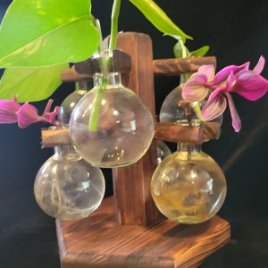 6 Plant Propagation Station