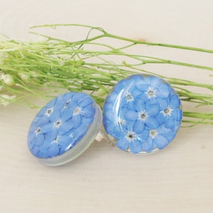 Forget me not Earrings, Pressed Flowers Stud Earrings, Resin Earrings, Sterling Silver, Stud Earrings, Round Oval Earrings, Natural Jewelry