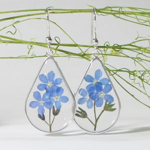 Forget me not Earrings, Flower Earrings, Real Flower Earrings, Flower Dangle Earrings, Dried Flower, Natural Jewelry, 925 Sterling Silver