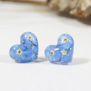 Pressed Flowers