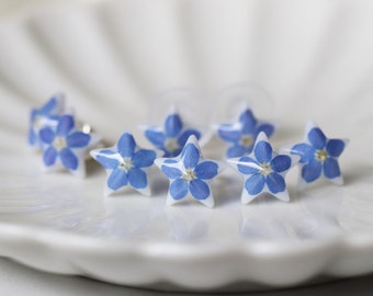 Forget me not earrings, Star Earrings, Minimalist studs, Sterling silver post, Resin Jewelry, Tiny Real Pressed Flower Earrings