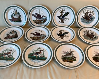 Portmeirion Birds of Britain By E. Donovan Green Band Dinner Plates Set of 12