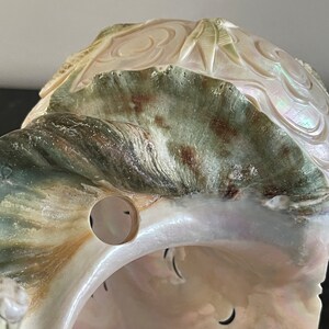 Antique Turbo Marmoratus Green Turban Carved Dragon Phoenix Sea Shell Sculpture image 6