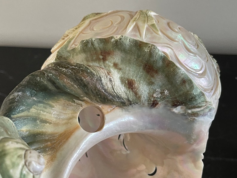 Antique Turbo Marmoratus Green Turban Carved Dragon Phoenix Sea Shell Sculpture image 6