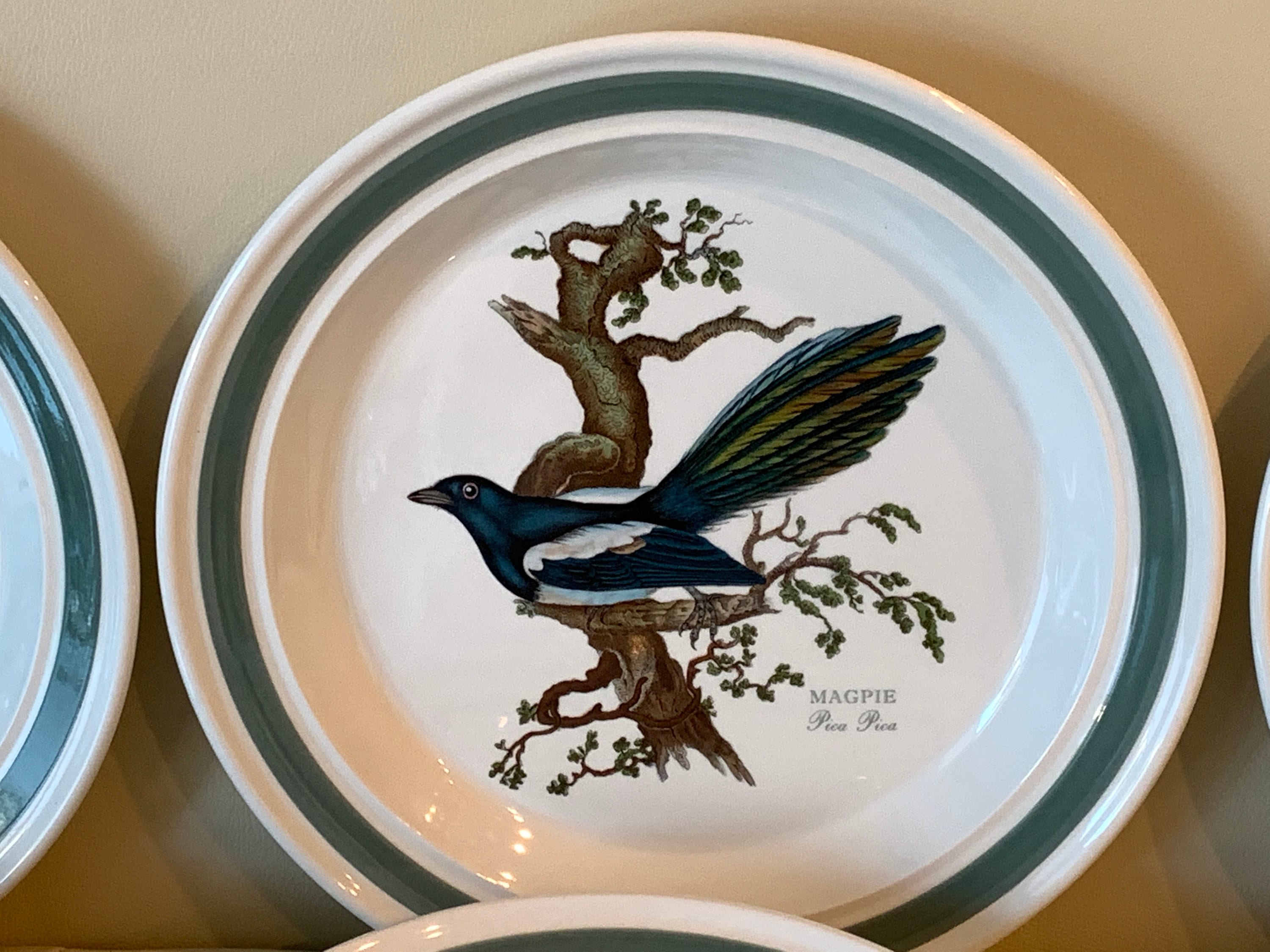 Portmeirion Birds of Britain by E. Donovan Green Band Dinner