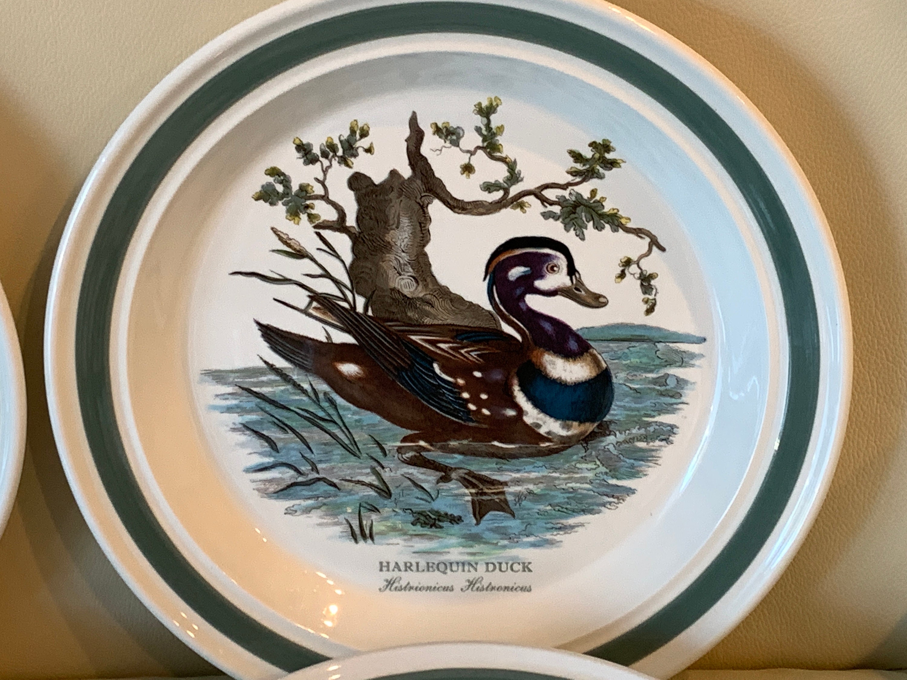 Portmeirion Birds of Britain by E. Donovan Green Band Dinner