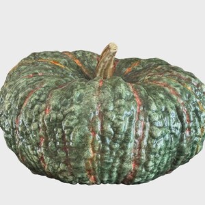 May include: A green pumpkin with a textured surface and vertical red-orange stripes. The pumpkin has a brown stem and is set against a plain background. This image is suitable for fall and harvest-themed products.