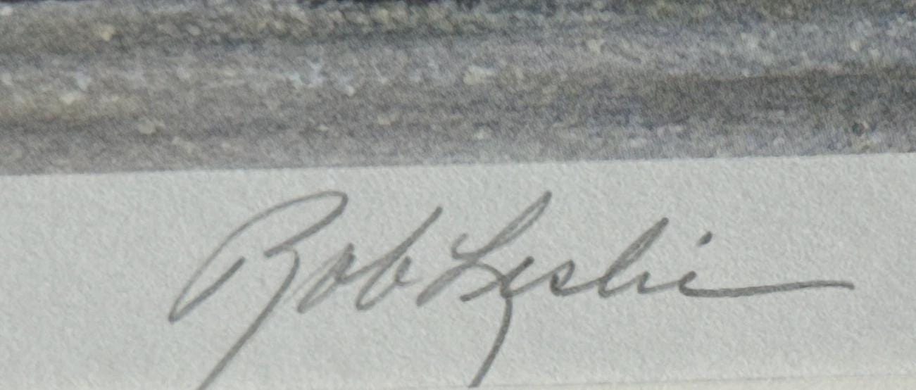 Rob Leslie Limited Edition Signed 1988 New Jersey Waterfowl Stamp