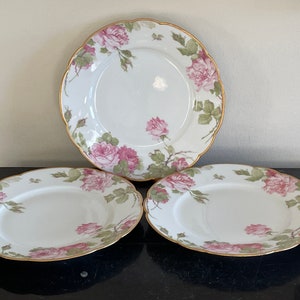Antique Haviland Limoges, France Hand Painted Roses Design Luncheon Plates