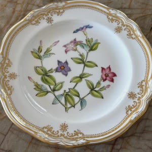 Spode stafford - Etsy 日本