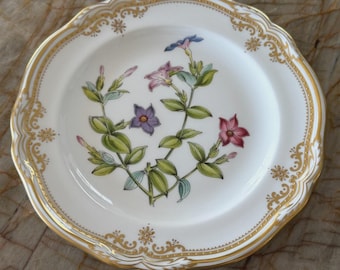 Plato de pan Spode Stafford Flowers vintage de 6 1/8"