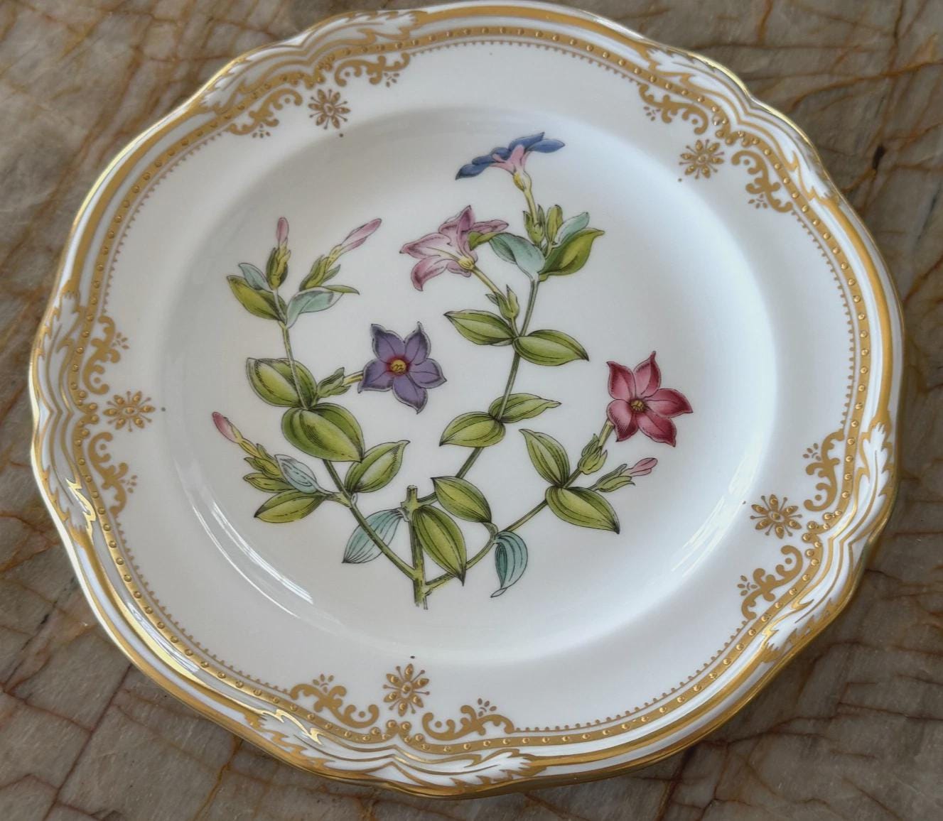 Spode Stafford Flowers - Etsy