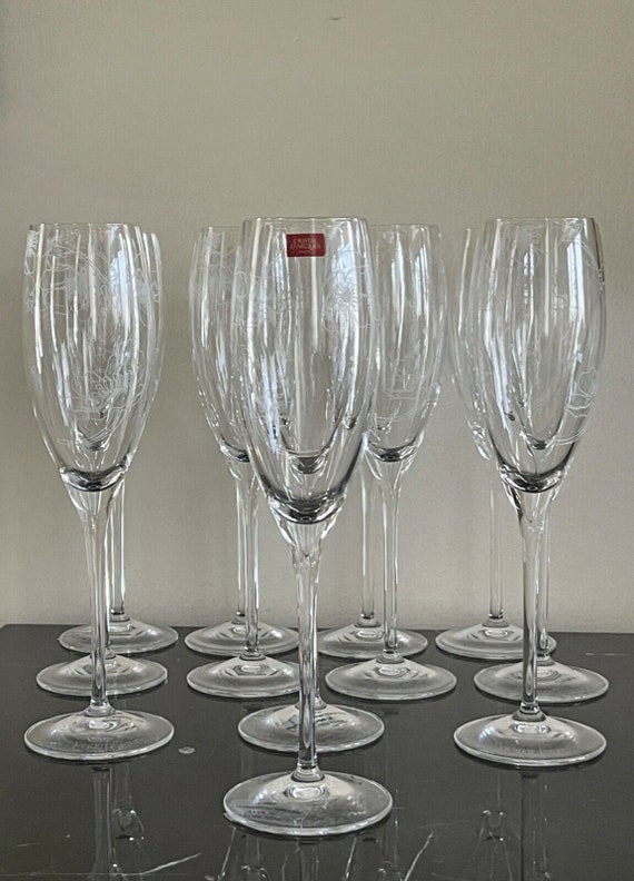 Champagne glasses 2024 set of 12