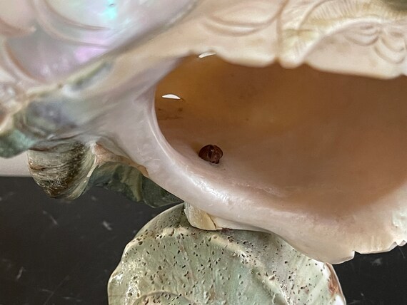 アンティーク ターボ マルモラトゥス グリーン ターバン 彫刻 龍 鳳凰 