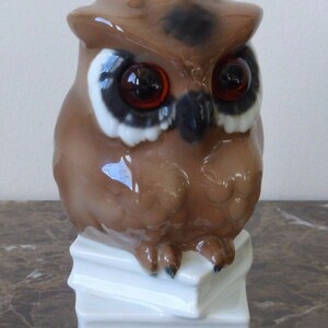 Gerold Porzellan Bavaria Germany Owl Figurine On Books