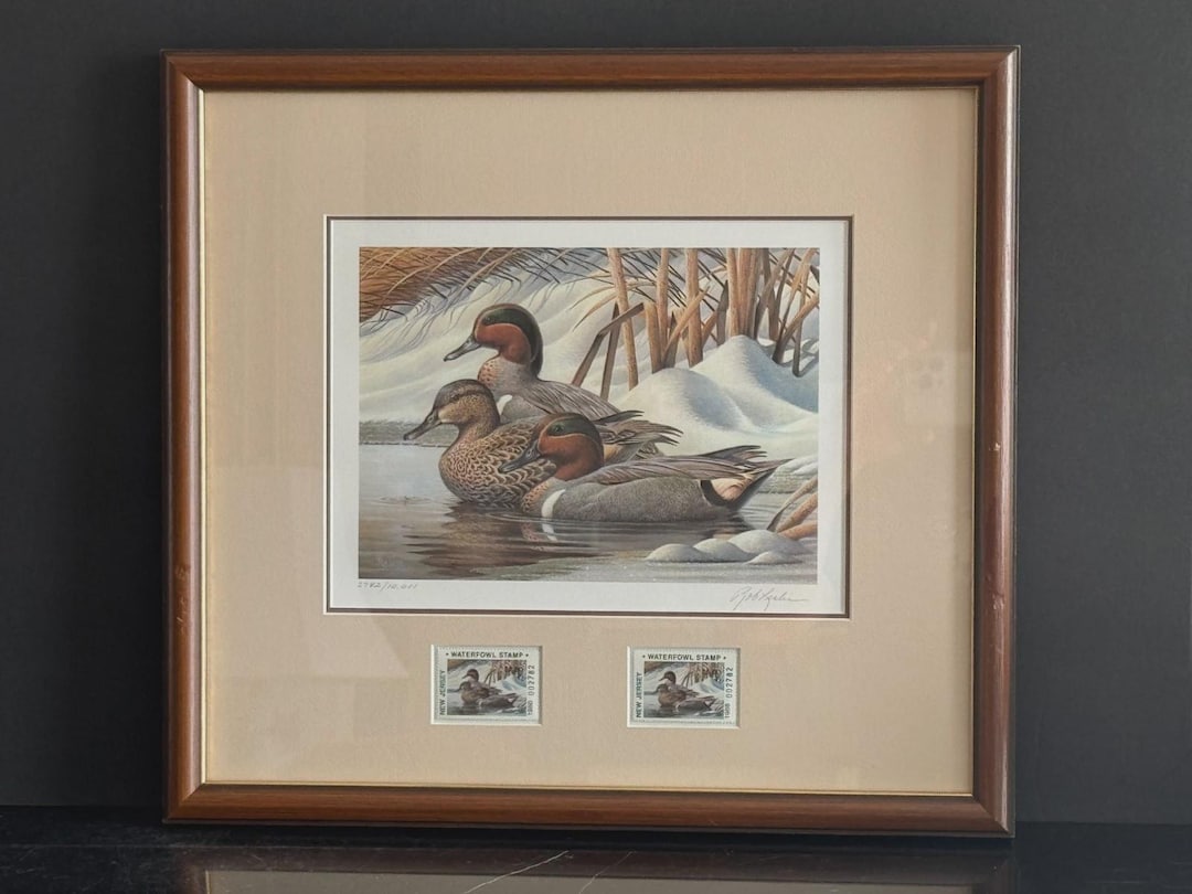 Rob Leslie Limited Edition Signed 1988 New Jersey Waterfowl Stamp