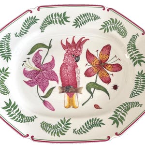 Lynn Chase Parrots of Paradise - Etsy