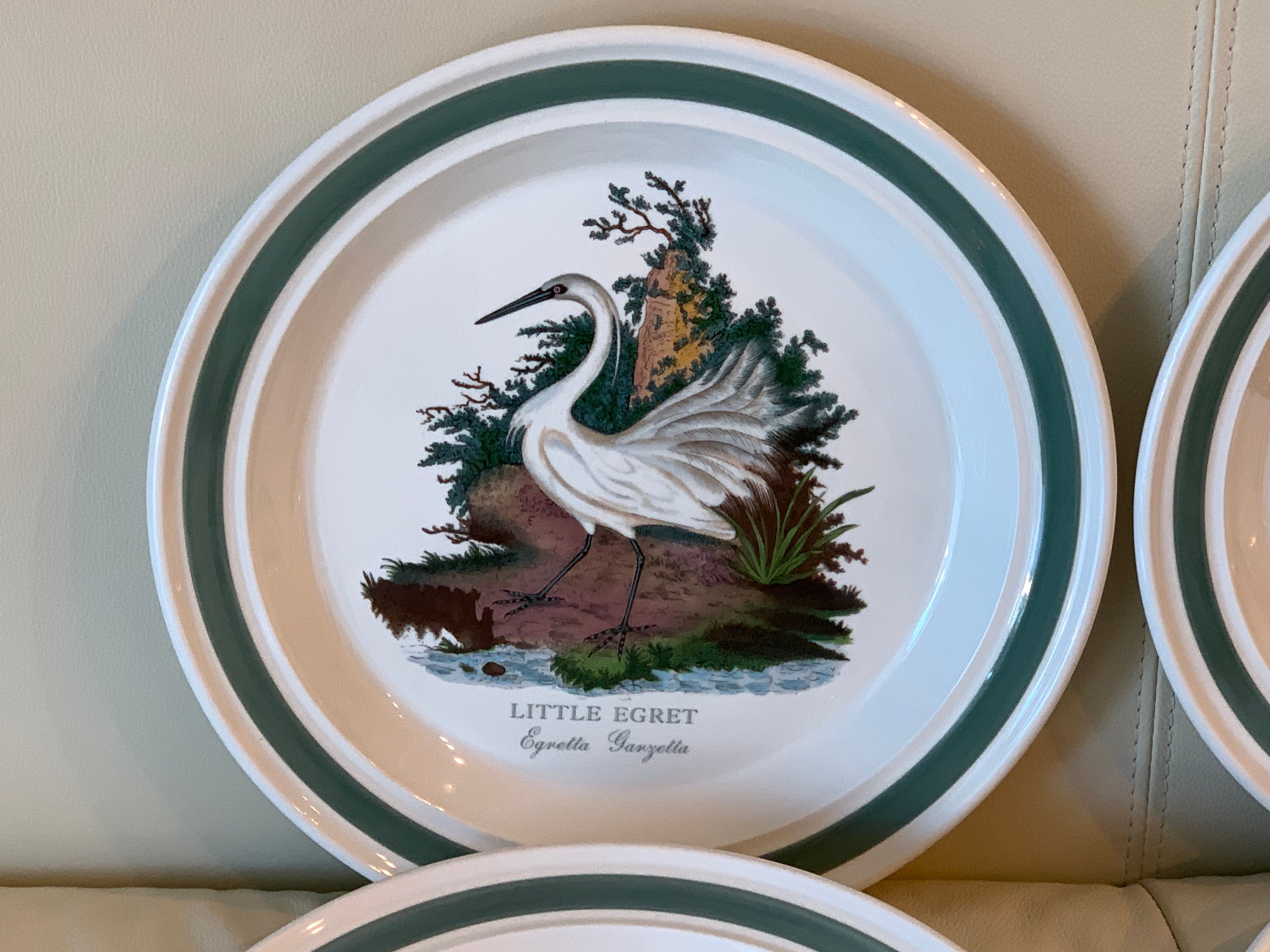 Portmeirion Birds of Britain by E. Donovan Green Band Dinner
