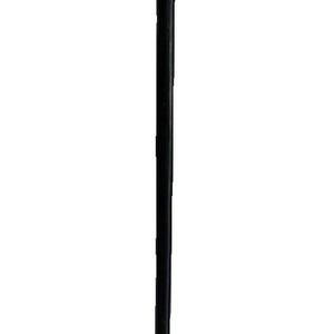 Antique Carved Dog Head Shaped Handle Walking Stick Cane *