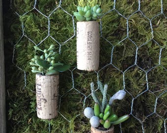 Live Succulent Cork Magnets