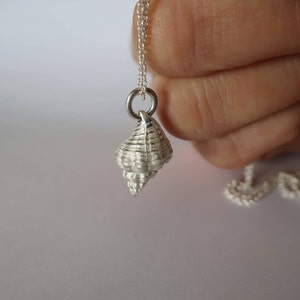 Sterling Silver Sea Shell Necklace Ocean Necklace Beach Necklace ...