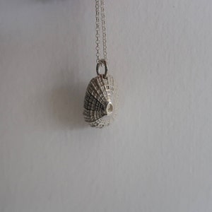 Sterling Silver Sea Shell Necklace Round Seashell Necklace Seashell ...
