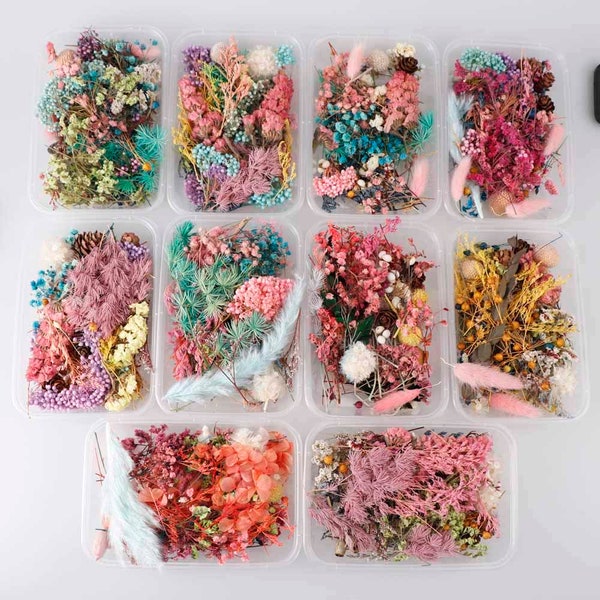 1 Box Real Dried Flowers For Resin Art, Jewelry, glitter