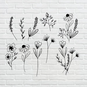Drawn Botanical Line Art Illustrations, Minimalistic Line Flowers, Botanical Line Art Clipart, Vector Illustrations, Floral Line Art PNG SVG