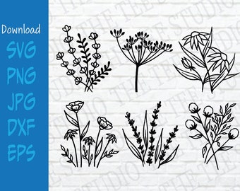 Wildflowers Bundle Set - Floral - Vector - Cricut ou Silhouette - Téléchargement numérique - Flower Sketch - Svg, Png, Jpeg, Dxf et Eps 5 formes