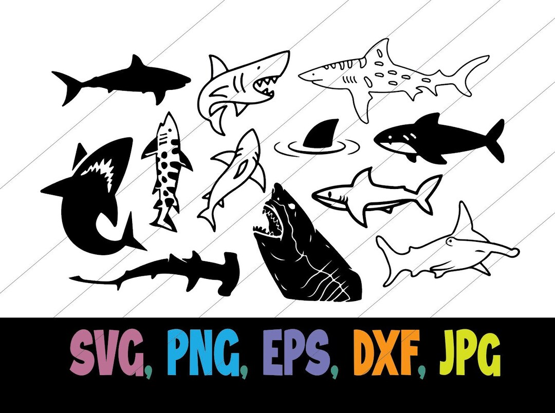 Hai Set, Hai Svgs, Hai Clip Art, Hai Bild für Cricut Silhouette ...