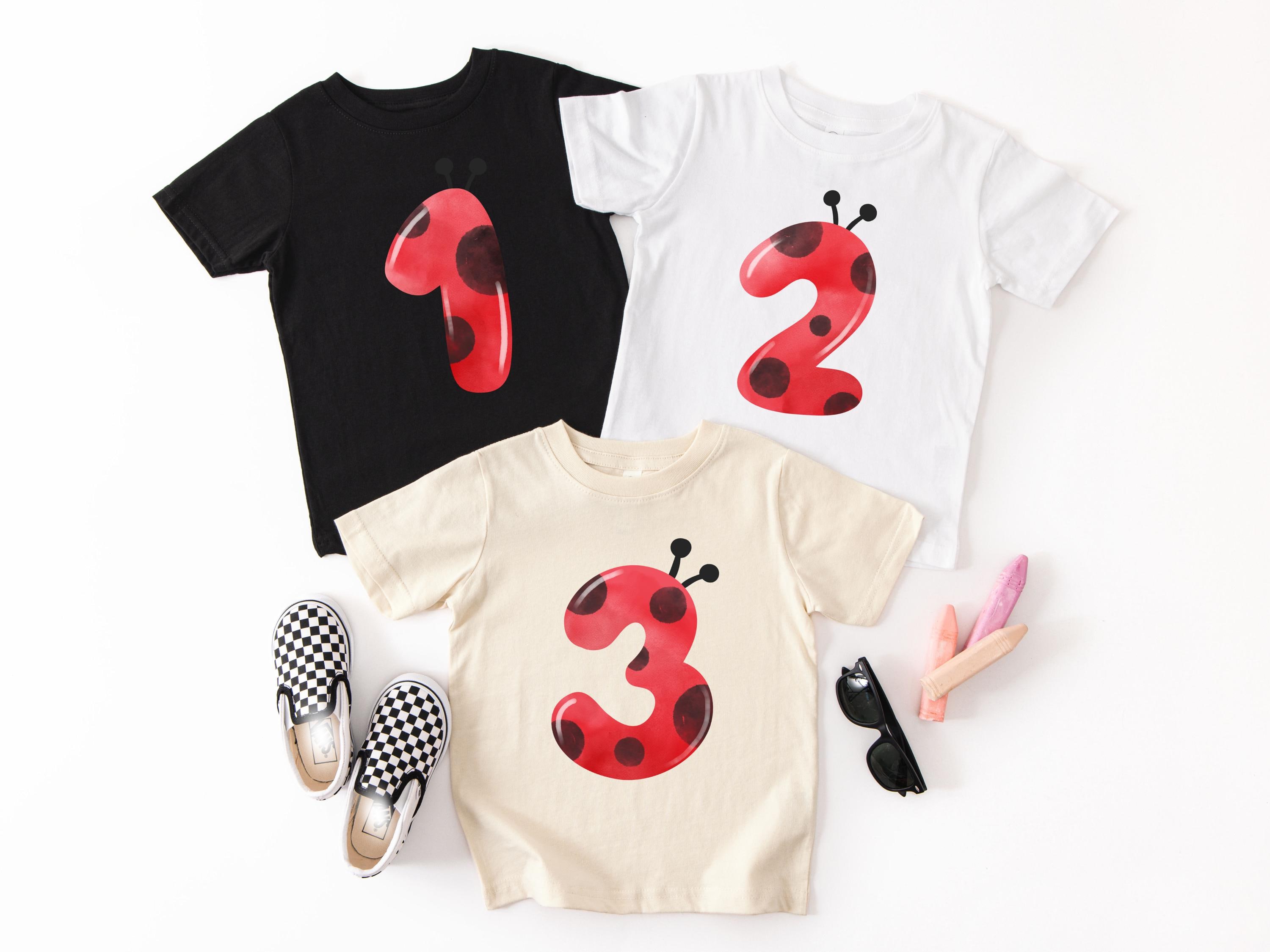 Miraculous ladybug birthday shirt España