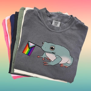 May include: A stack of t-shirts in various colors, featuring a grey t-shirt with a cartoon frog holding a rainbow pride flag. The flag has a pink, light blue, white, black, brown, orange, yellow, green, and purple color scheme. The t-shirt has the text "Comfort Colors" printed on the tag.
