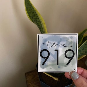 Pode incluir: Um adesivo com um fundo de aquarela azul e texto preto que diz "the 919".