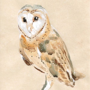 Dipinto originale di gufo ad acquerello - arte di uccelli, barbagianni, fauna selvatica del Regno Unito