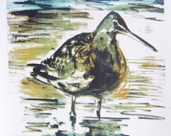 Lithograph print (limited edition, 1 of 2), Godwit, Birdwatching, Wading birds, waders, bird art, mounted bird print, A4 print, UK birds