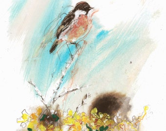 ORIGINAL Mixed media bird drawing, Stonechat on Gorse, bird drawing, bird art, UK birds, mixed media painting, wildlife drawing