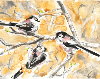 Long Tailed Tits - ORIGINAL mixed media drawing, watercolour art, UK birds, bird drawing, bird wall art, bird lover gift, nature painting